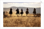 Cowboys Galloping Horses in Field by Anonymous