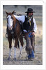Cowboy Waiting with Horse by Anonymous