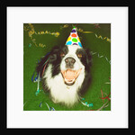 Dog Wearing Party Hat by Anonymous