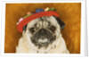 Pug Wearing Floral Hat by Anonymous