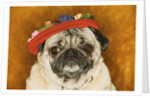 Pug Wearing Floral Hat by Anonymous