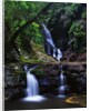 Elabana Falls by Anonymous