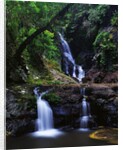 Elabana Falls by Anonymous