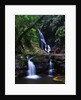 Elabana Falls by Anonymous