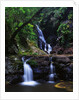 Elabana Falls by Anonymous