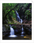 Elabana Falls by Anonymous