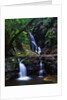 Elabana Falls by Anonymous