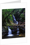 Elabana Falls by Anonymous