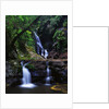 Elabana Falls by Anonymous