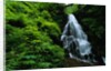 Fairy Falls by Anonymous