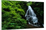 Fairy Falls by Anonymous