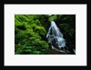 Fairy Falls by Anonymous