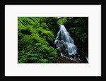 Fairy Falls by Anonymous
