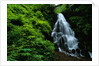 Fairy Falls by Anonymous