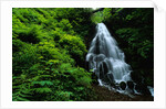 Fairy Falls by Anonymous