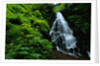 Fairy Falls by Anonymous