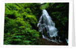 Fairy Falls by Anonymous