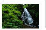 Fairy Falls by Anonymous
