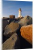 Rocks near Peggy's Cove Light by Anonymous