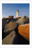 Rocks near Peggy's Cove Light by Anonymous