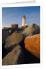 Rocks near Peggy's Cove Light by Anonymous