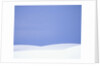 White Sands Dunes by Anonymous