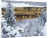 Snow Blankets Spruce Tree House Anasazi Cliff Dwelling at Mesa Verde National Park by Anonymous