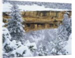 Snow Blankets Spruce Tree House Anasazi Cliff Dwelling at Mesa Verde National Park by Anonymous