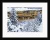 Snow Blankets Spruce Tree House Anasazi Cliff Dwelling at Mesa Verde National Park by Anonymous
