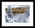 Snow Blankets Spruce Tree House Anasazi Cliff Dwelling at Mesa Verde National Park by Anonymous