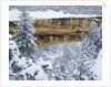 Snow Blankets Spruce Tree House Anasazi Cliff Dwelling at Mesa Verde National Park by Anonymous