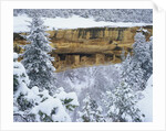 Snow Blankets Spruce Tree House Anasazi Cliff Dwelling at Mesa Verde National Park by Anonymous
