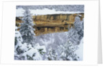 Snow Blankets Spruce Tree House Anasazi Cliff Dwelling at Mesa Verde National Park by Anonymous