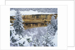 Snow Blankets Spruce Tree House Anasazi Cliff Dwelling at Mesa Verde National Park by Anonymous