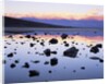 Badwater near Panamint Range by Anonymous