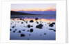 Badwater near Panamint Range by Anonymous