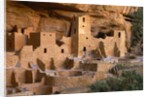 Cliff Palace by Anonymous