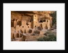 Cliff Palace by Anonymous