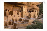Cliff Palace by Anonymous