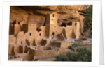 Cliff Palace by Anonymous