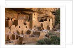 Cliff Palace by Anonymous