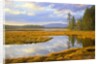 Bass Harbor Marsh and Western Mountain by Anonymous