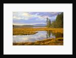 Bass Harbor Marsh and Western Mountain by Anonymous