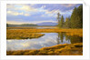 Bass Harbor Marsh and Western Mountain by Anonymous