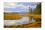 Bass Harbor Marsh and Western Mountain by Anonymous