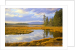 Bass Harbor Marsh and Western Mountain by Anonymous