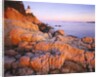Bass Harbor Head Lighthouse at Sunset by Anonymous