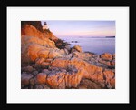 Bass Harbor Head Lighthouse at Sunset by Anonymous