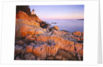 Bass Harbor Head Lighthouse at Sunset by Anonymous