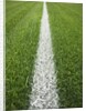 Painted Line on Athletic Field by Anonymous